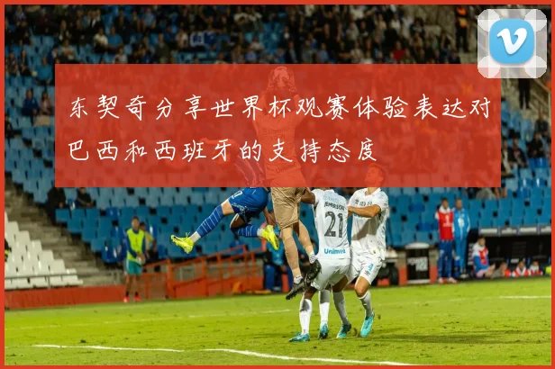东契奇分享世界杯观赛体验表达对巴西和西班牙的支持态度